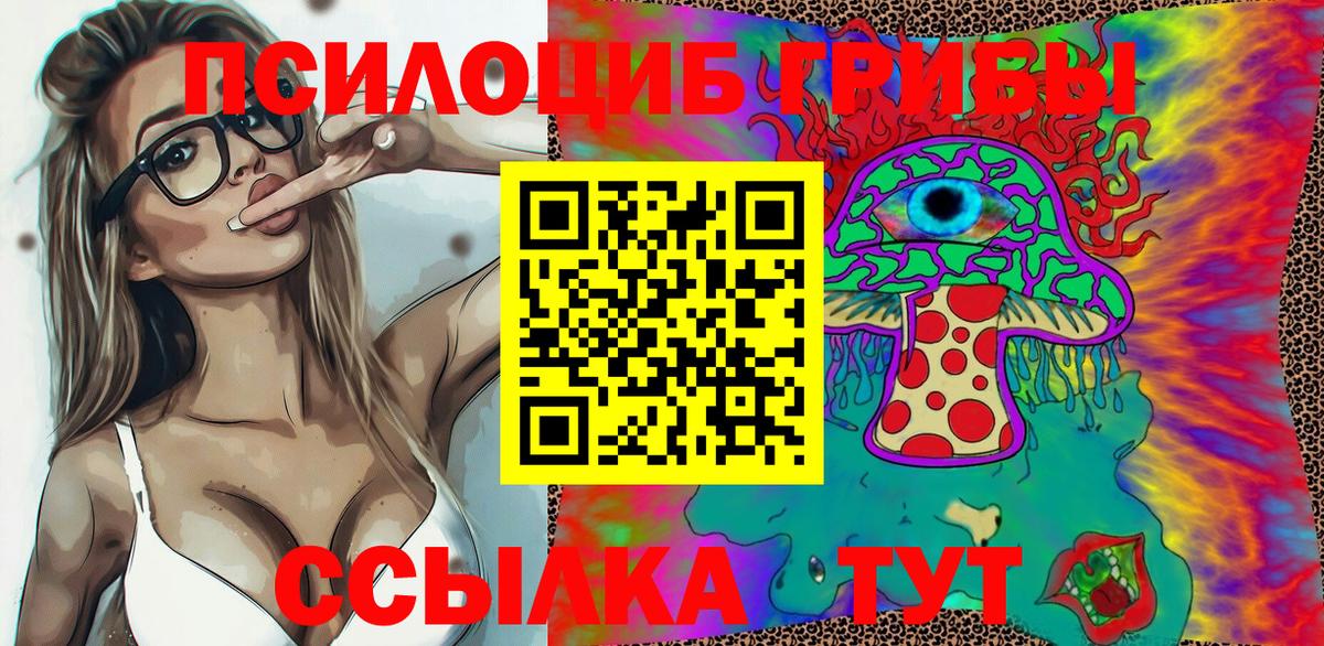 Галлюциногенные грибы Psilocybine cubensis Югорск