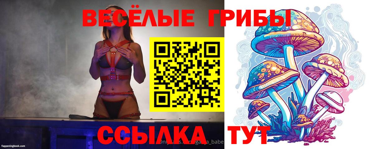 Югорск  Псилоцибиновые грибы GOLDEN TEACHER  Вход с VPN 
